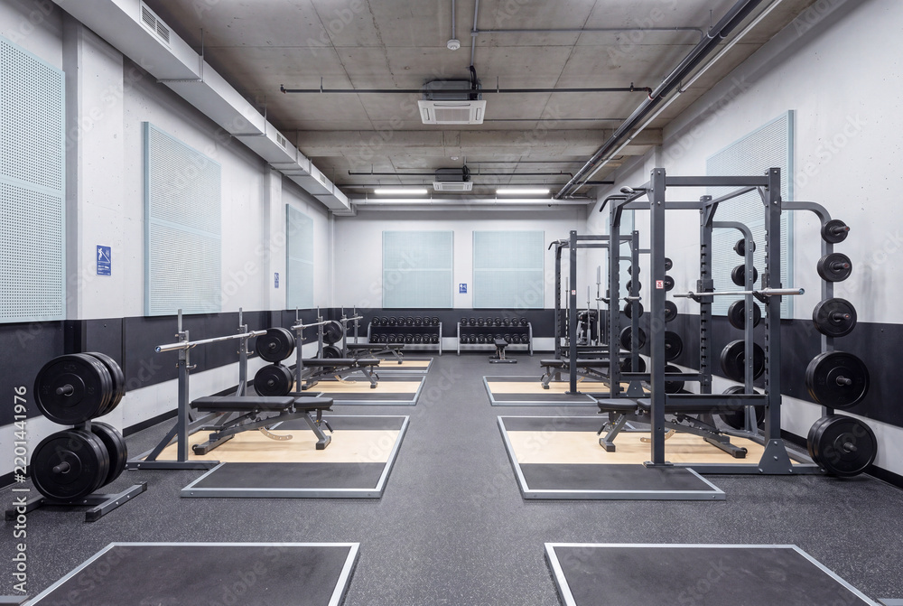 Fototapeta premium long spatial view of a architectural athletic venue: contemporary spatial design within a sports building