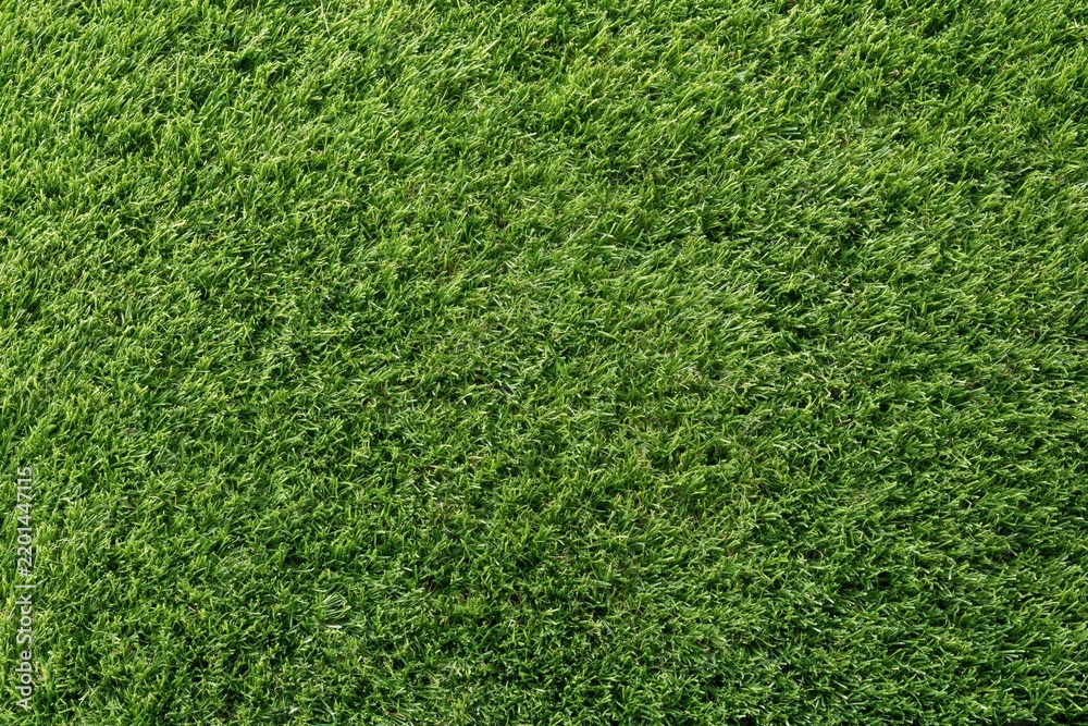 Obraz premium The Verdant Grass Closeup of Lush Green Turf Texture for Landscape