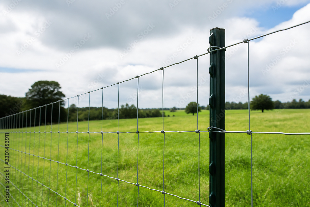 Obraz premium A wire fence stretches across a green field under a cloudy sky with a wooden post in the foreground.