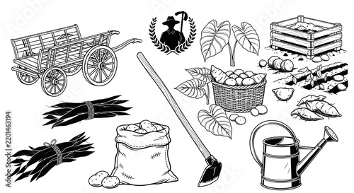 Classic Black and White Agriculture and Root Vegetable Farming Vector Set