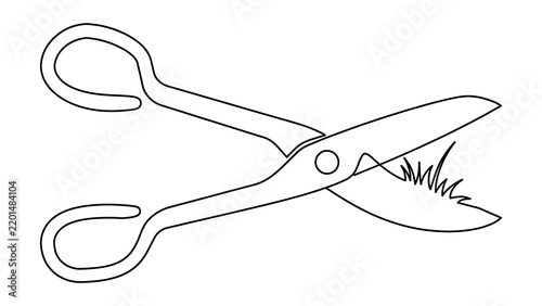 Scissors cutting grass white background.