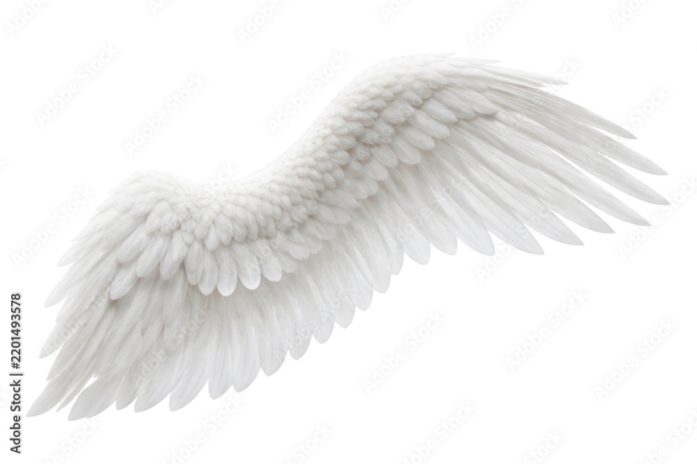 Fototapeta premium Elegant white angelic wings illustration.