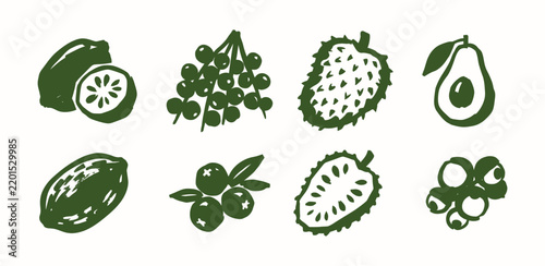 Hand drawn rainforest fruit icons featuring acai berry soursop avocado and cupuacu for design