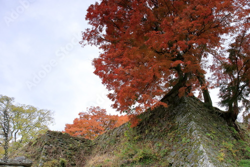 竹田市の城跡の秋