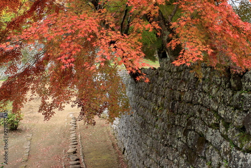 大分県の城跡の秋