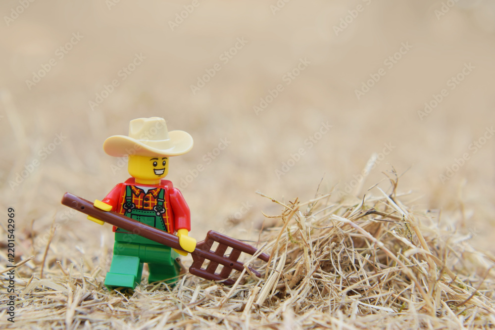 Obraz premium Lego minifigure of happy farmer with pitchfork or hayfork is doing in the natural dried grass field. Editorial illustrative image of popular plastic toy.
