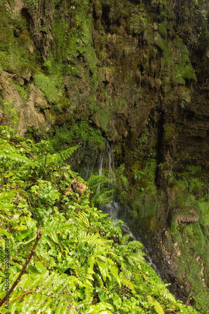 Fototapeta premium Glencar Waterfall, Ireland