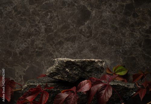 Dark cosmetic medical podium background with natural stone