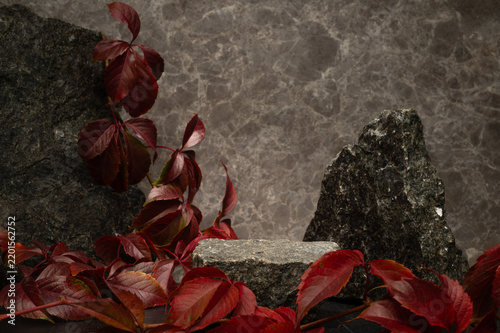 Dark cosmetic medical podium background with natural stone