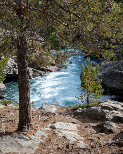 Turquoise Mountain River Flowing Through Pine Forest at Ridderspranget, Norway