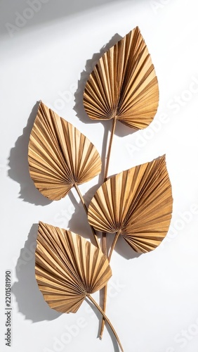 Dried palm leaves cast shadows on a white surface.
