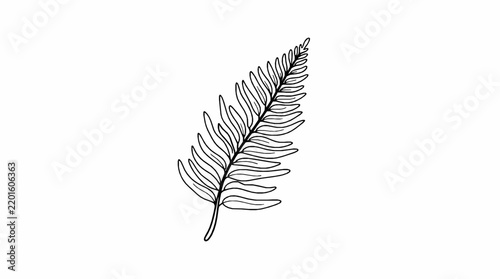 A detailed black and white line drawing of a single fern leaf on white background