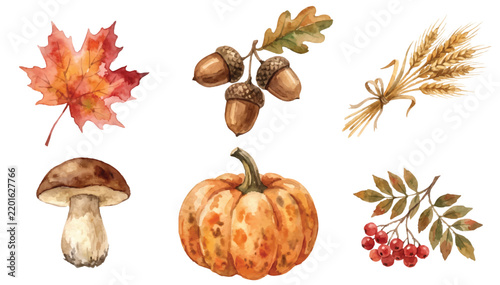 Watercolor autumn harvest set with pumpkin maple leaf acorns mushroom wheat and berries isolated on white background