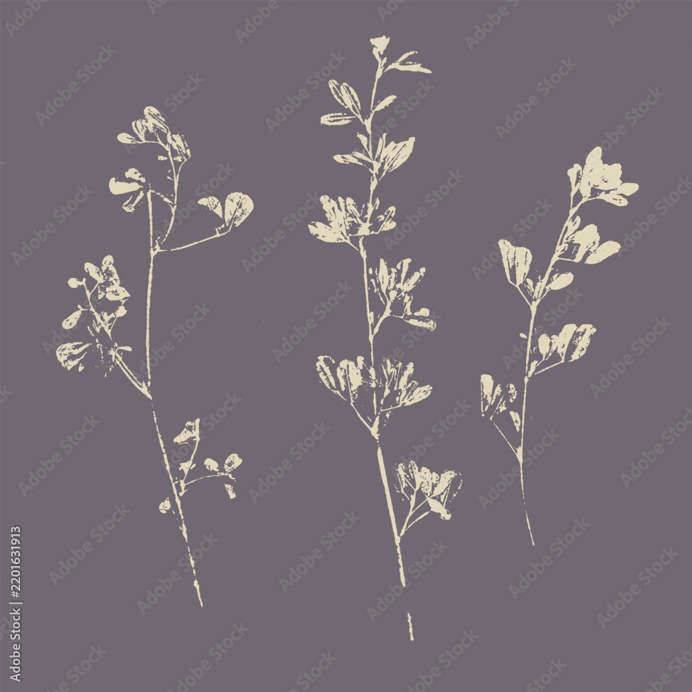 Fototapeta premium Botanical wildflower stems imprints set. Light beige ink pressed flora silhouettes on dark dusty purple background, minimalist natural herbarium printmaking illustration.