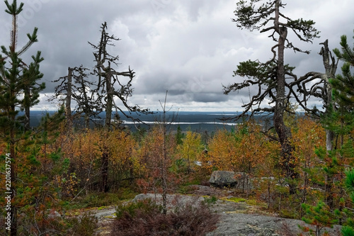 A northern landscape with autumn forests under a heavy, overcast sky