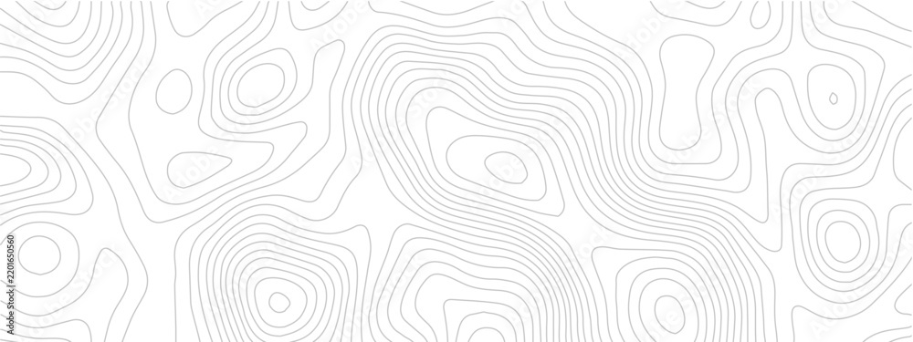 Obraz premium Minimalist topography map pattern with thin gray contour lines on white background topographic map abstract geography