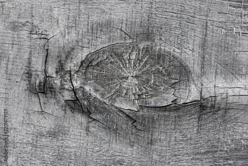 the expressive texture of old wood.