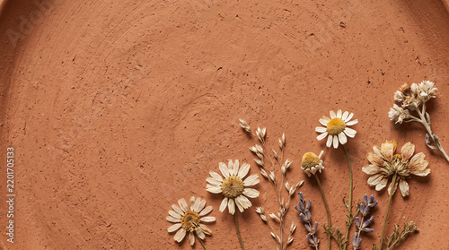 Terracotta Ceramic Texture with Dried Flowers | Rustic Background