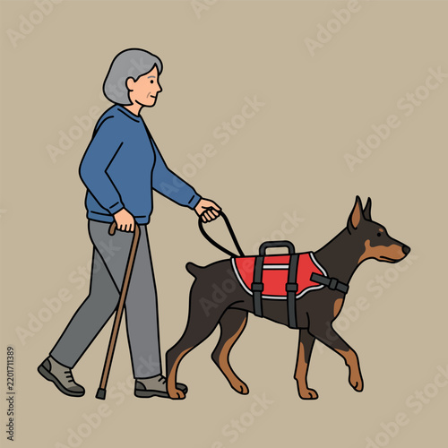 Senior Woman Walking with Cane and Doberman Pinscher Assistance Dog in Red Service Vest, Illustration.

