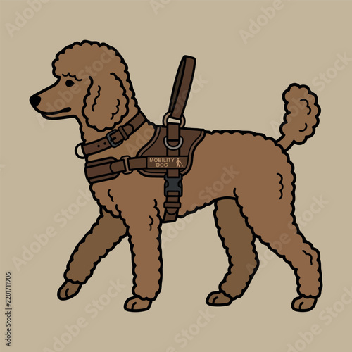 Brown Poodle Mobility Dog wearing a Service Harness, Illustration.

