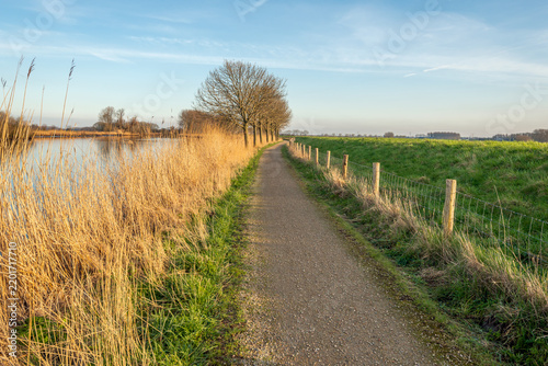 Narrow road along a dike in a Dutch polder. At the foot of the dike is a fence made of wooden posts and wire mesh. The photo was taken on a slightly cloudy day at the end of the winter season.