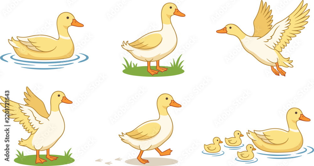 Obraz premium Cartoon yellow ducks swimming, walking, and flying, illustrations with ducklings in water