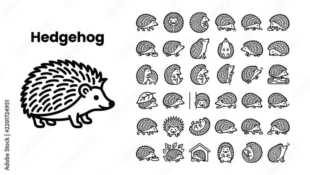 Obraz premium Hedgehog Icon Collection: A collection of diverse hedgehog illustrations, showcasing various poses and expressions of this spiky mammal in a graphic resource format.