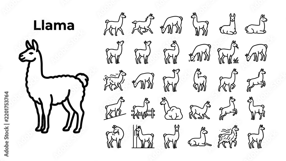 Obraz premium Llama Icon Collection: A comprehensive set of line art icons showcasing llamas in various poses and activities, perfect for educational or design purposes.