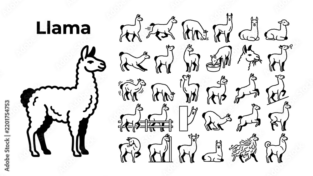Obraz premium Llama Animal Variety Pack: A comprehensive illustration showcasing a llama and various dynamic poses of this fascinating creature, including actions like running, eating, and resting.
