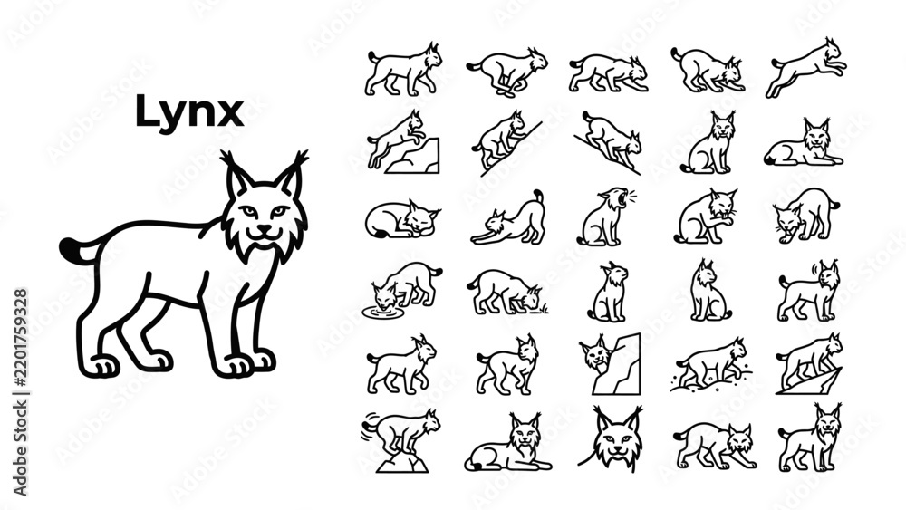 Fototapeta premium Lynx Animal Iconography: A detailed illustration of a lynx, accompanied by a collection of small icons showcasing the feline in various poses and actions.
