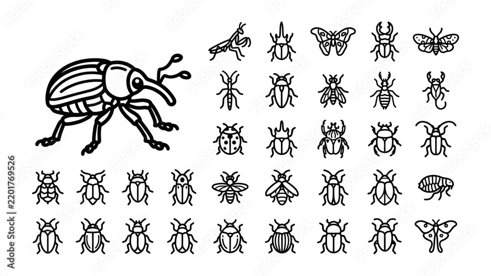 Fototapeta premium Insect Collection: A stylized illustration showcases a variety of insects, from a large weevil to numerous smaller beetles, moths, and ants, presented in a clear, graphic arrangement.