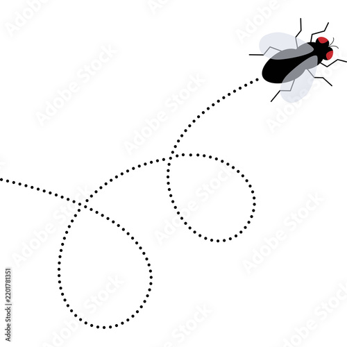 Fly Insect With Dotted Path