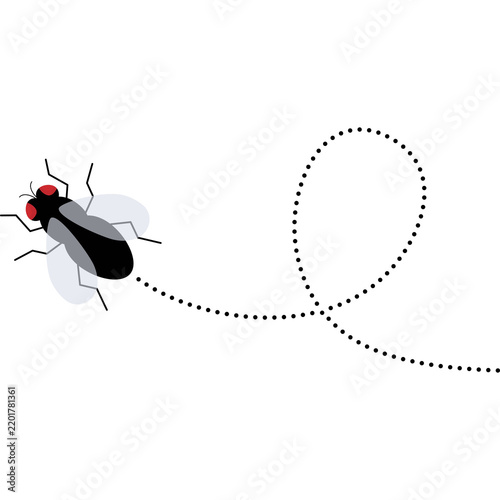 Fly Insect With Dotted Path