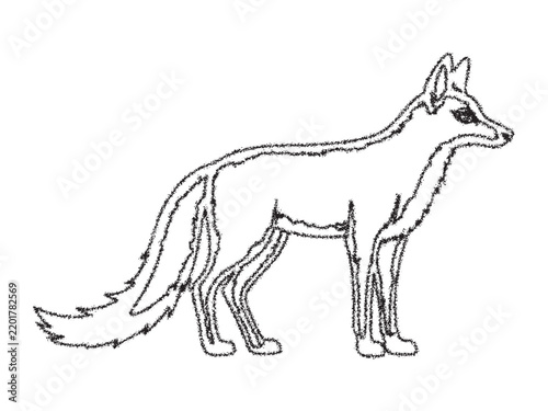 Sketch of a fox with a long tail on a white background