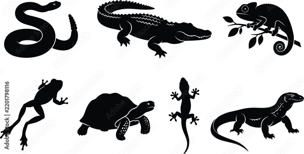 Obraz premium Reptiles and Amphibians Silhouette Vector Set