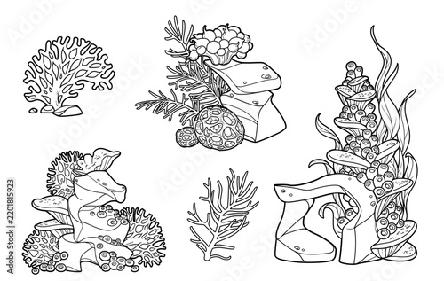 Sea creatures and objects set anemones, corals and big and small sponges growing on stones object outlined for coloring pages