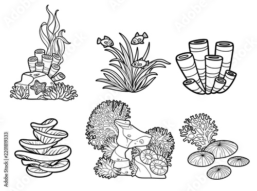 Sandstone on which corals and sponges grow with algae and starfishes and sea elements outlined for coloring page