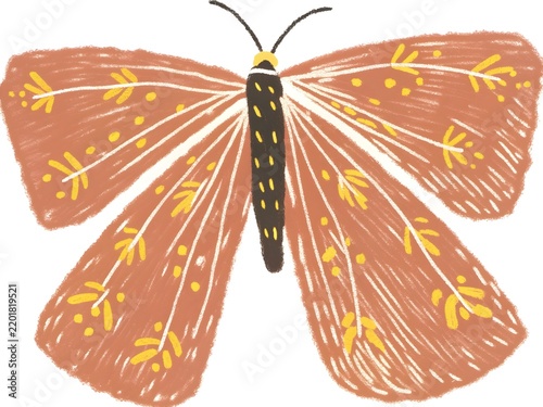 Brown moth with yellow floral patterns in gentle lighting isolated on white background
