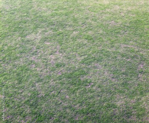 A patchy expanse of grass featuring varying shades of green and brown. The texture suggests a dry and uneven surface.AI generated!