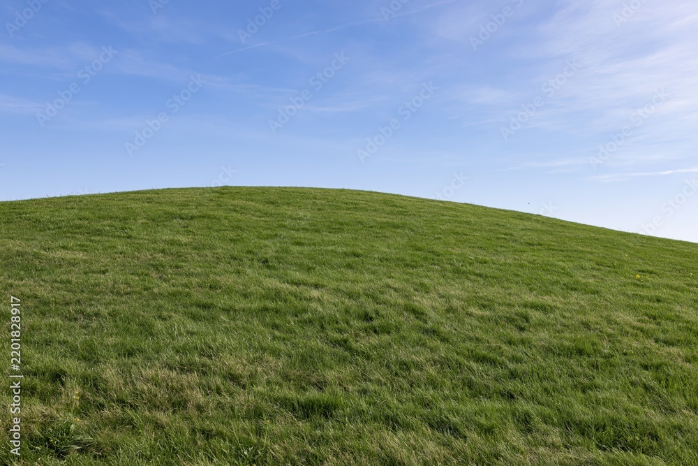 Obraz premium The Hill of Green Grass Under a Clear Blue Sky at Noon