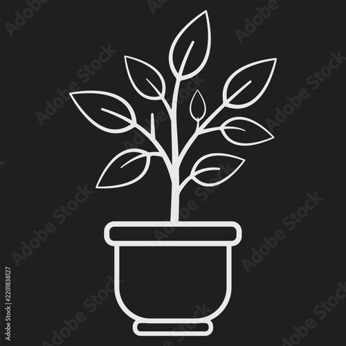 Potted plant with green leaves in a simple pot