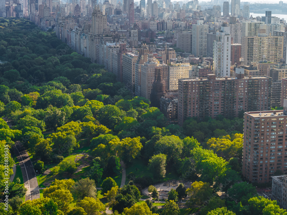 Obraz premium Aerial shot reveals the boundary between Central Park tree foliage and the apartment architecture of Upper East Side Manhattan in New York City on a sunny day.