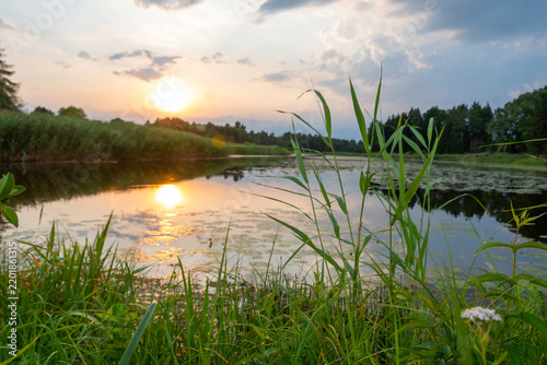 A magical landscape featuring a beautiful sunset or sunrise over a pond or lake on a summer evening; a cloudy sky in the background, with reeds and water reflections in the foreground;