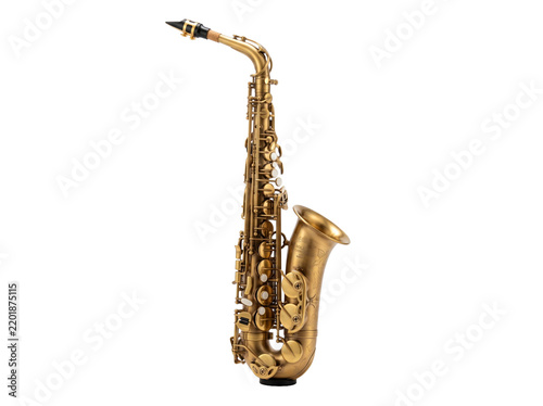 Professional Gold Alto Saxophone