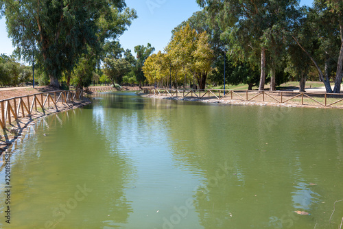 Quiet artificial lake with wooden fence surrounded by green trees in urban park