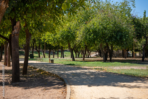 Curved pedestrian dirt pathway under green shaded trees in a sunny public park