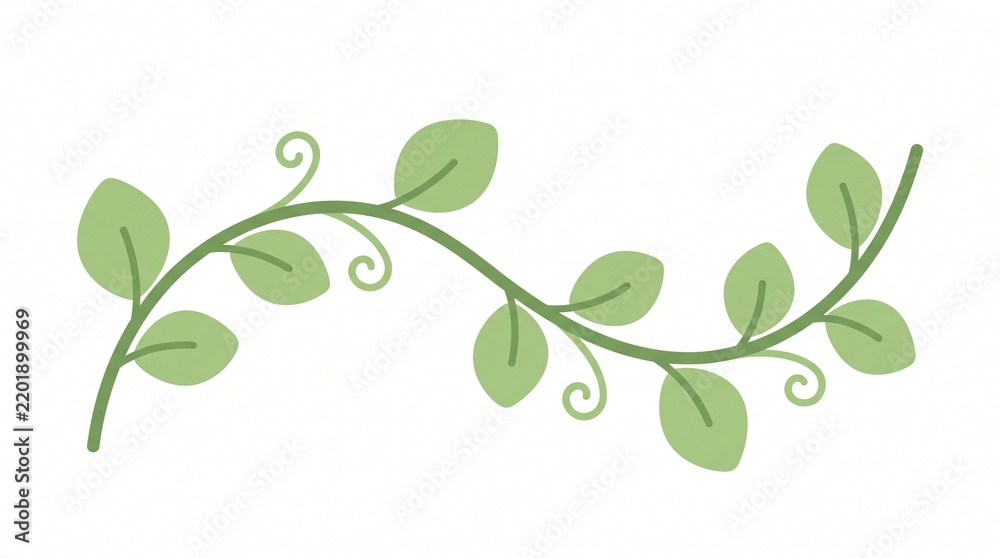 Obraz premium Green vine with leaves and swirls on white background