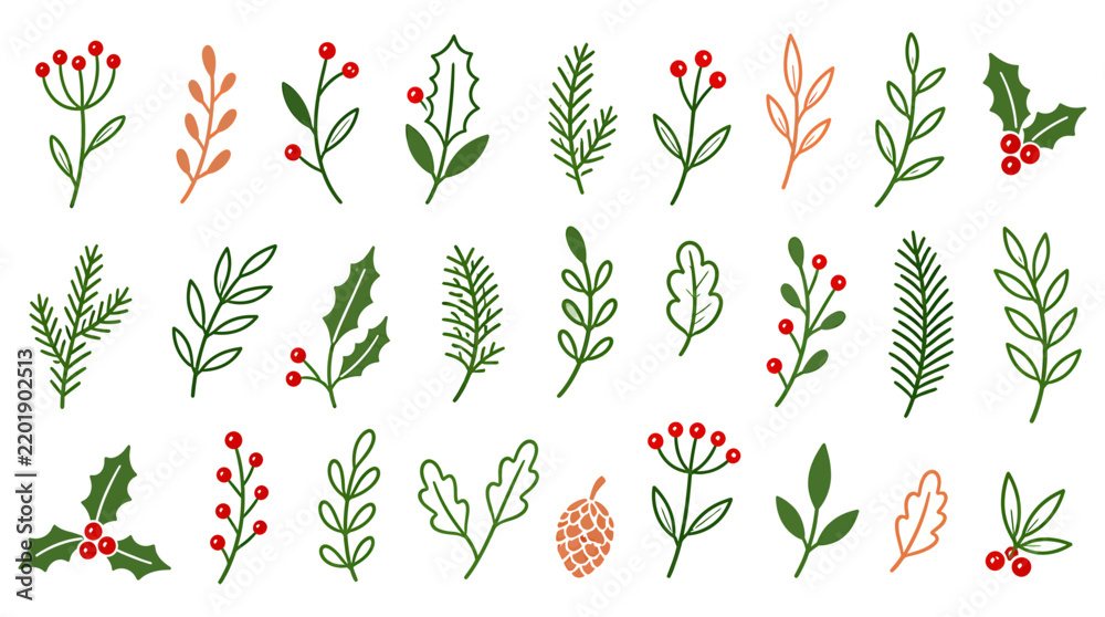 Fototapeta premium Christmas Holly Leaves Flowers Pine Branches and Winter Floral Hand Drawn Doodle Set