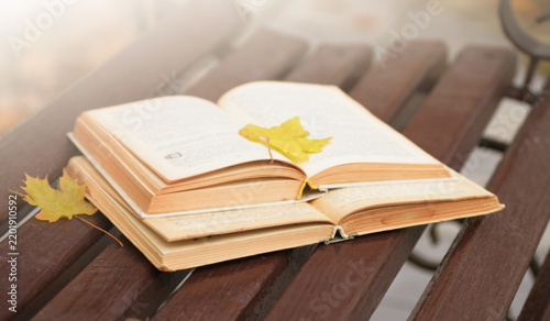 Open book on autumn park background.