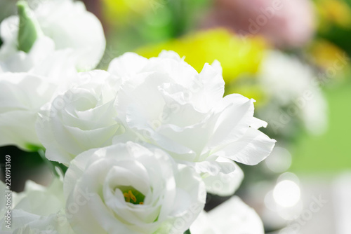 Obraz w ramie お墓にお供えされた清らかな白いトルコキキョウの花